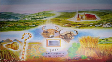 Bild von Ester Toulon Bild von Ester Toulon